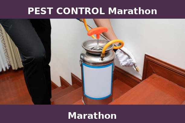PEST CONTROL Marathon